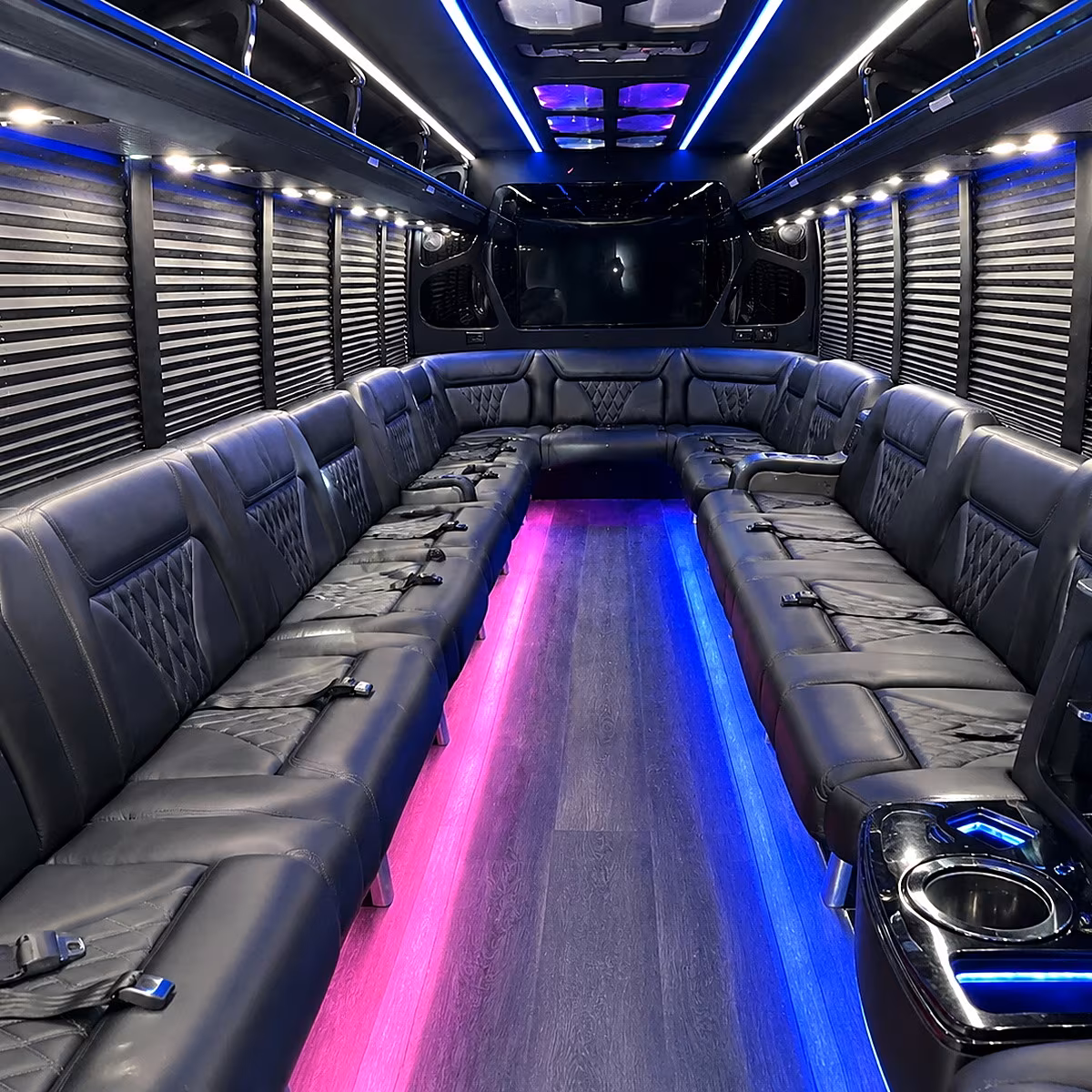 elk grove birthday party bus rental